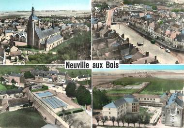 / CPSM FRANCE 45 " Neuville aux Bois "