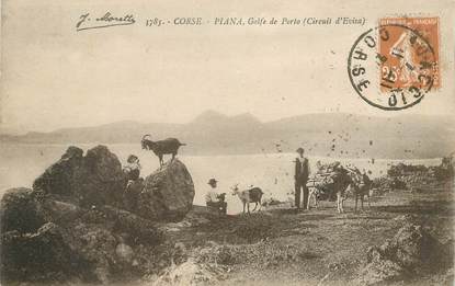 CPA CHEVRE / CORSE Piana