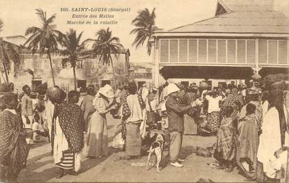 CPA SENEGAL / Saint Louis, Entrée des Halles, Marché de la Volaille