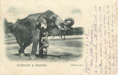 CPA INDE / ELEPHANT