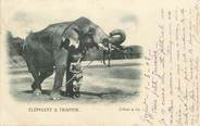 Asie CPA INDE / ELEPHANT