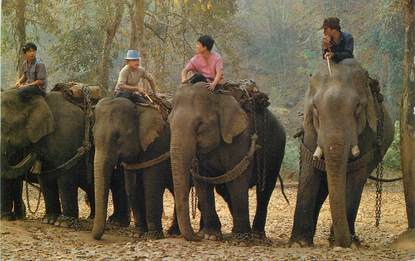    CPSM THAILANDE / ELEPHANT