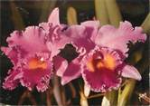 49 Maine Et Loire / CPSM FRANCE 49 "Gaignard Fleurs Angers" / ORCHIDEES