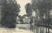 91 Essonne / CPA FRANCE 91 "Boutigny, les moulins"