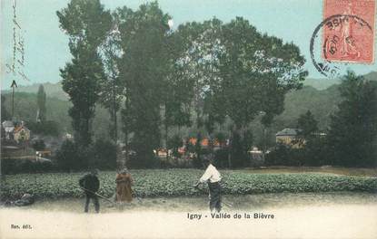/ CPA FRANCE 91 "Igny, vallée de la Bièvre"