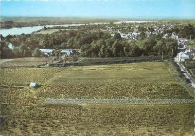 / CPSM FRANCE 49 "La possonnière, les vignobles et panorama sur la Loire "