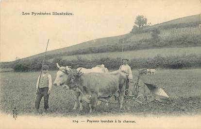 CPA FRANCE 65 "Lourdes, paysans lourdais à la charrue" / VACHE