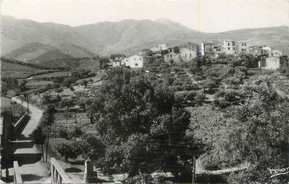 CPSM FRANCE 66 "Banyuls, village Le Puig Del Mas"