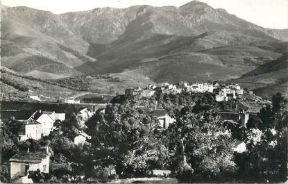 CPSM FRANCE 66 "Banyuls, Le Puig Del Mas"