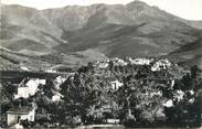 66 PyrÉnÉe Orientale CPSM FRANCE 66 "Banyuls, Le Puig Del Mas"