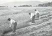 / CPSM FRANCE 88 "Les Vosges Autrefois, nr 26, trois bon faucheurs"