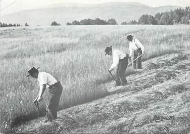 / CPSM FRANCE 88 "Les Vosges Autrefois, nr 26, trois bon faucheurs"