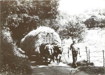 / CPSM FRANCE 88 "Les Vosges Autrefois, nr 39, un bon chargement 1979"