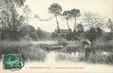 / CPA FRANCE 91 "Ballancourt, l'ile verte" / CHASSE