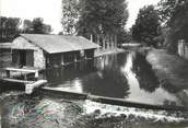 53 Mayenne / CPSM FRANCE 53 "Andouille, le lavoir "