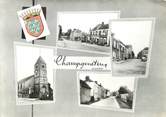 53 Mayenne / CPSM FRANCE 53 "Champgénéteux "