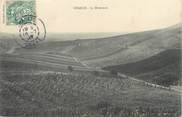 89 Yonne / CPA FRANCE 89 "Chablis, la Moutonne"