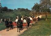 53 Mayenne / CPSM FRANCE 53 "Elevage de Laurière, Lassay" / CHEVAL