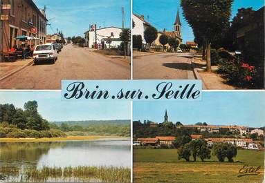 / CPSM FRANCE 54 "Brin sur Seille"