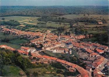 / CPSM FRANCE 55 "Montiers sur Saulx, vue générale aérienne"