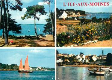 / CPSM FRANCE 56 "L'Isle aux Moines, golfe du Morbihan"