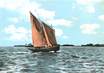 / CPSM FRANCE 56 "Ile d'Arz, sinagol sur le golfe du Morbihan"