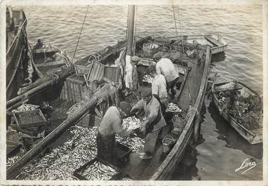 / CPSM FRANCE 56 "Quiberon, port Maria, débarquement de la sardine"