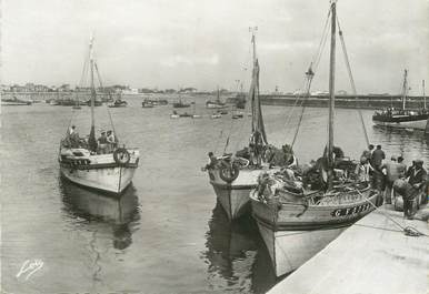 / CPSM FRANCE 56 "Quiberon, port Maria" /  BATEAU