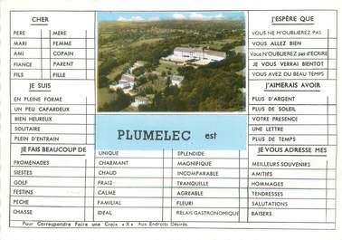 / CPSM FRANCE 56 "Plumelec "