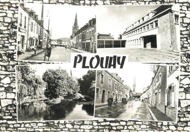 / CPSM FRANCE 56 "Plouay"