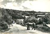 58 Nievre / CPSM FRANCE 58 "Chalaux, le pont sur le Chalaux"