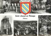 58 Nievre / CPSM FRANCE 58 "Saint Amand en Puisaye"