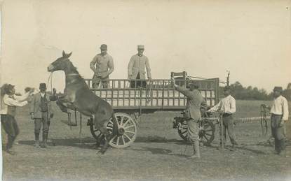 CARTE PHOTO MILITAIRE  / ATTELAGE CHEVAL