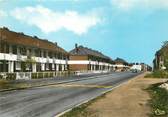 59 Nord / CPSM FRANCE 59 "Herin, rue Victor Hugo"