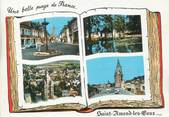 59 Nord / CPSM FRANCE 59 "Saint Amand les Eaux"