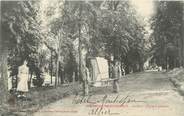 03 Allier / CPA FRANCE 03 "Bourbon l'Archambault, le parc, chaise à porteurs"