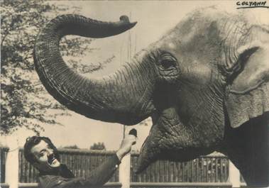/ CPSM FRANCE 60 "Ermenonville, zoo Jean Richard" / ELEPHANT