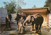 60 Oise / CPSM FRANCE 60 "Ermenonville, zoo Jean Richard, la répétition des éléphants"