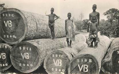 CPSM COTE D'IVOIRE "Billes de bois précieux"