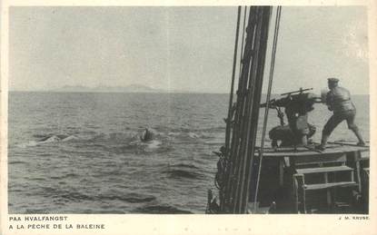 CPA DANEMARK "La Pêche à la baleine"