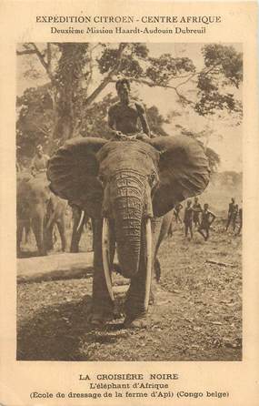 CPA CONGO BELGE / ELEPHANT / EXPEDITION CITROEN