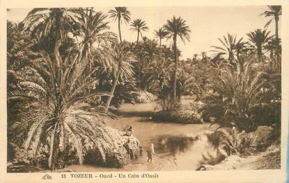 CPA TUNISIE "Tozeur, un coin d'Oasis"