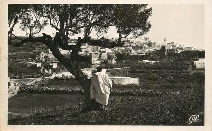 CPSM TUNISIE "Sidi bou Said "