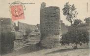 Algerie CPA ALGERIE "Tlemcen, ruines de Toubiana"