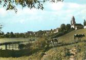 61 Orne / CPSM FRANCE 61 "Mauves sur Huisne, vue générale"