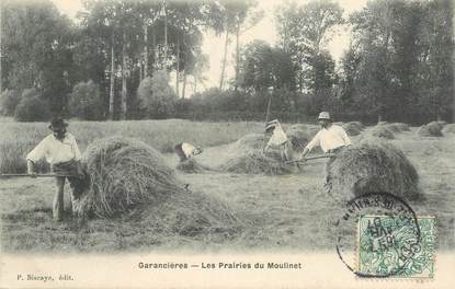 CPA FRANCE 78 "Garancières, les prairies du Moulinet"