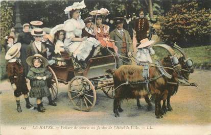 / CPA FRANCE 76 "Le Havre, voiture de chèvres au jardin de l'hôtel de ville" / CHEVRE