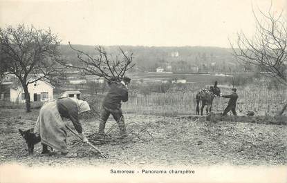 CPA FRANCE 77 "Samoreau, panorama champêtre" / AGRICLTURE