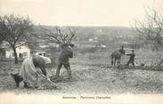 77 Seine Et Marne CPA FRANCE 77 "Samoreau, panorama champêtre" / AGRICLTURE