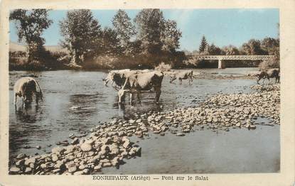 / CPA FRANCE 09 "Bonrepaux, pont sur le Salat"